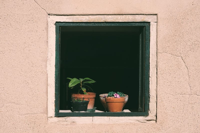 Window Sill Planting