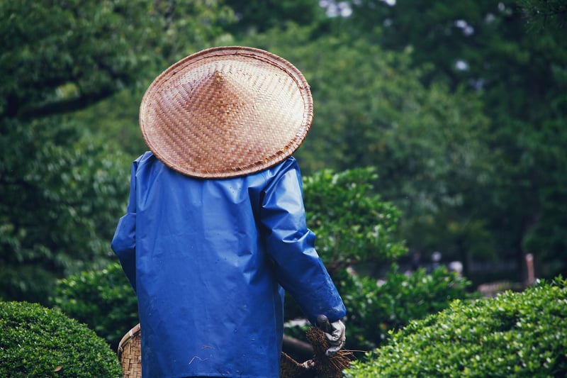 Group of gardeners