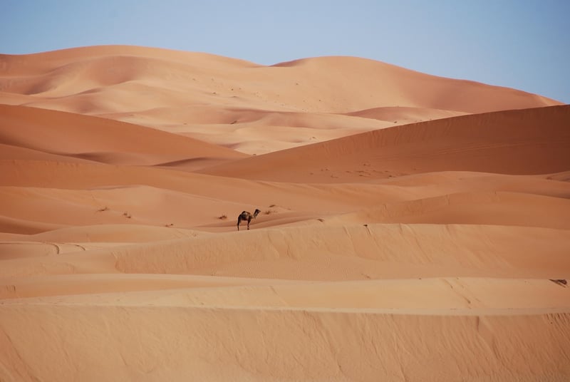 Sandy Soil